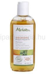 Melvita Hair sampon gyakori hajmosásra 200 ml