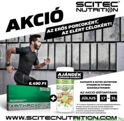 Scitec Nutrition Arthroxon 105 db
