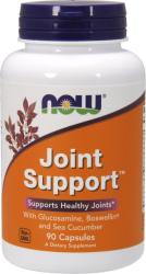 NOW Joint Support 90 db