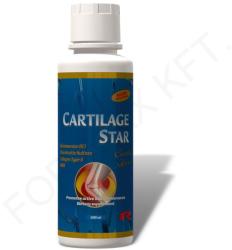 Starlife Cartilage Star 500 ml