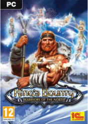 1C Company King’s Bounty Warriors of the North (PC)