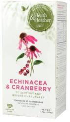 Heath & Heather Echinacea Tea Tőzegáfonyával 20 filter