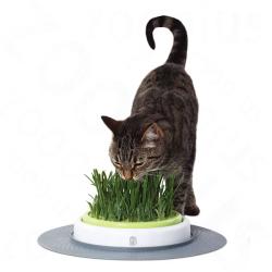 Hagen Catit Design Senses Gras Garden macskafű termesztő készlet 24 cm