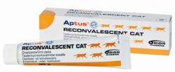 Aptus Reconvalescent Cat paszta 60 g