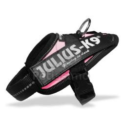 Julius-K9 IDC - Power ham, roz Baby 1