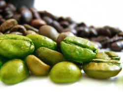 Semiramis Brasil Santos zöld kávé őrölt 250 g