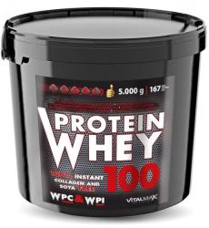 Vitalmax Protein Whey 100 5000 g