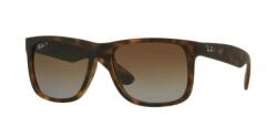Ray-Ban Justin RB4165 865/T5