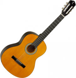 Tanglewood DBT 44