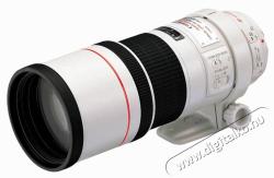 Canon EF 300mm f/4L IS USM (2530A017AA)