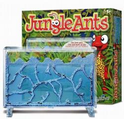 World Alive Jungle Ants - hangyafarm