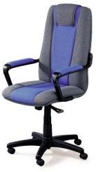 ALBA CR Tribun grey/blue