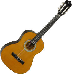 Tanglewood DBT 34