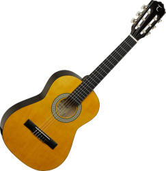 Tanglewood DBT 12