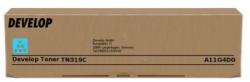 Develop TN319C Cyan A11G4D0