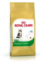 Royal Canin FBN Kitten Maine Coon 36 4 kg