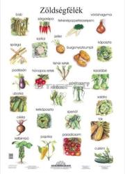 Stiefel Zöldségek tabló poszter