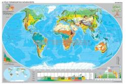 Stiefel A Föld éghajlata és növényzete kétoldalas óriás fali térképposzter