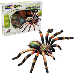 Revell X-Ray - Tarantula Spider Anatomy Model (2097)