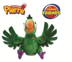Dragon-i Toys Talking Pierre - Papagal vorbaret (DRAG80802P) (Jucarie  interactiva) - Preturi