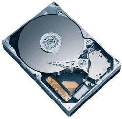 Fujitsu 300GB SAS S26361-F5568-L130