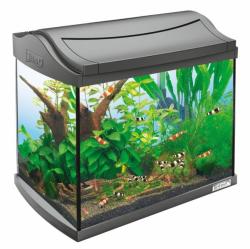 Tetra Aquaart (20 L)