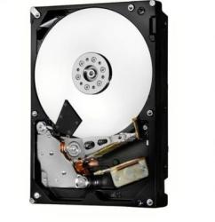 Hitachi 3.5 2TB 128MB 7200rpm SAS HUS726020AL4210 0F22798