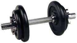 inSPORTline Gantera reglabila 10 kg 461IN
