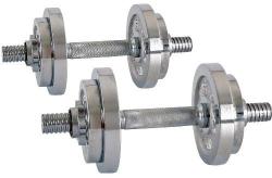 inSPORTline Set gantere cromat 2x10 kg 5413IN