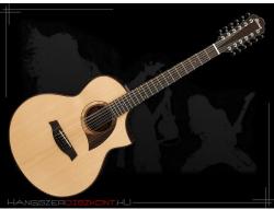 Ibanez AEW2212CD