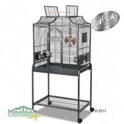 MONTANA Cages Madeira I