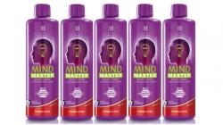 LR Health & Beauty LR Mind Master Red 5x500 ml