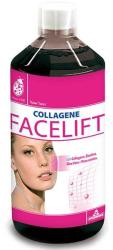 Winter Collagene Facelift koncentrátum 500 ml