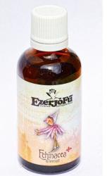 EzerJóFű Echinacea plusz tinktúra 50 ml