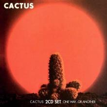 Cactus / One Way. . . Or Another
