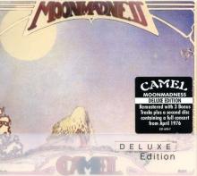 Camel Moonmadness