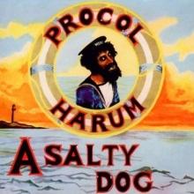 Procol Harum A Salty Dog - livingmusic - 103,00 RON