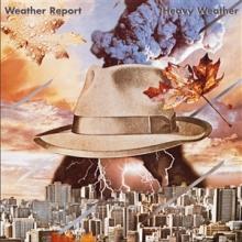 Weather Report Heavy Weather - livingmusic - 338,00 RON