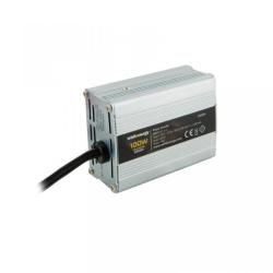 Whitenergy 100W 12V (06574)