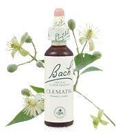 Bach-virágeszencia 9. Clematis (Iszalag) Nelson's 20ml