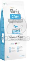Brit Care Grain-free Junior Large Breed - Salmon & Potato 3x12 kg