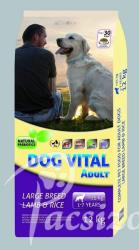 DOG VITAL Adult Large Breed Lamb & Rice 2x12 kg