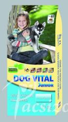 DOG VITAL Junior Chicken All Breed 2x12 kg