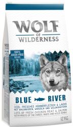 Wolf of Wilderness Blue River - Salmon 2x12 kg