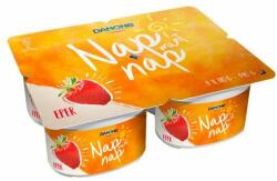 Danone Nap mint nap fermentált élelmiszerkészítmény 4 x 110 g