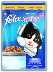 FELIX Fantastic Junior chicken 100 g