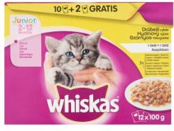 Whiskas Junior poultry 12x100 g