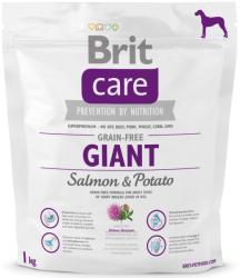 Brit Care Grain-free Giant - Salmon & Potato 1 kg