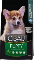 CIBAU Medium Puppy 800 g