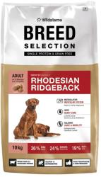 Wildsterne Breed Selection - Rhodesian Ridgeback 10 kg